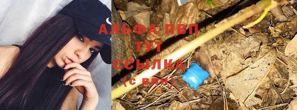 трава Абинск