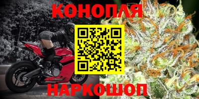 гидра Волжский