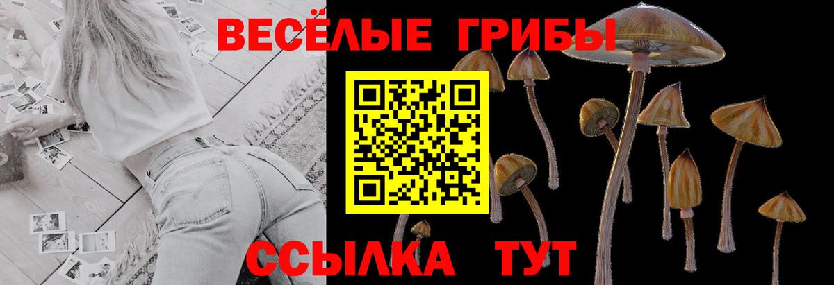 Купить закладку  Cocaine  Гашиш  Конопля  МЕФ кристаллы  Вход с VPN  ГАШ  Нижнекамск  МЕФ 